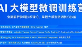 极客时间AI大模型微调训练营