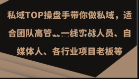 私域TOP操盘手带你做私域