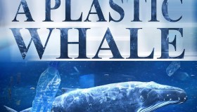 《塑料鲸鱼》纪录片 A Plastic Whale (2017)