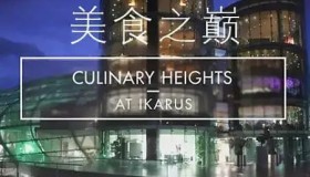 《美食之巅》纪录片 第九季 Culinary Hights at Ikarus Season 9 (2019)