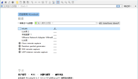 Wireshark v4.4.2.0绿色便携版 免费网络嗅探抓包工具