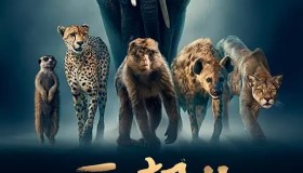 《王朝》纪录片 第二季 Dynasties Season 2 (2022)