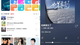 oppo音乐v40.10.16.70高级版