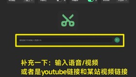 VideoCaptioner v2024 最佳国外视频搬运神器