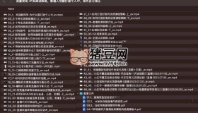 流量变现IP实战训练营：普通人也能打造个人IP，成为百万博主