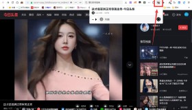 video downloadhelper v7.3.5.0 高级版网页视频下载神器