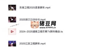 2024-2025各平台跨年晚会合集