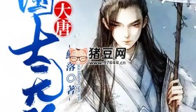 《大唐国士无双》有声小说 主播：新蜂中文 1298集完