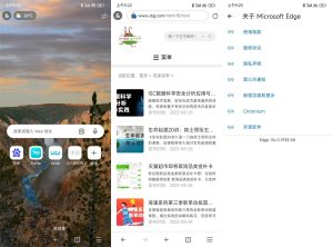 微软Edge浏览器 v120.0.2210.1...