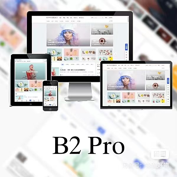 WordPress B2 Pro 主题 5.2.0 最新开心版（附带官方包体与授权文件）