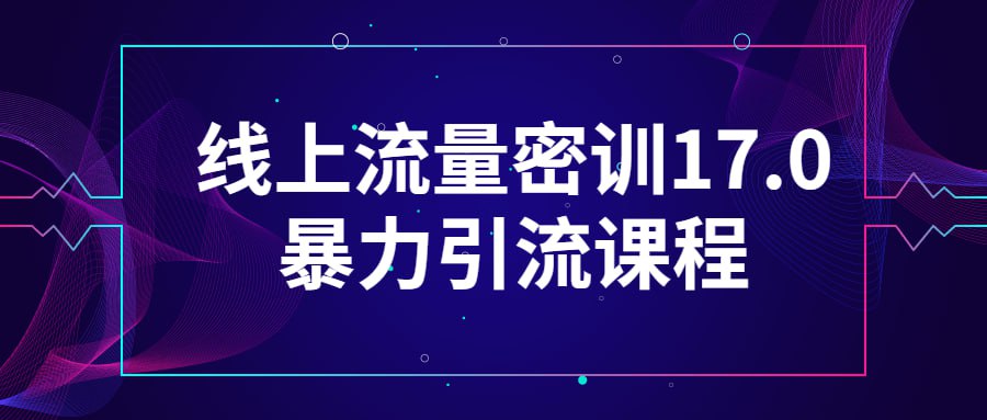 线上流量密训 17.0 暴力引流课程