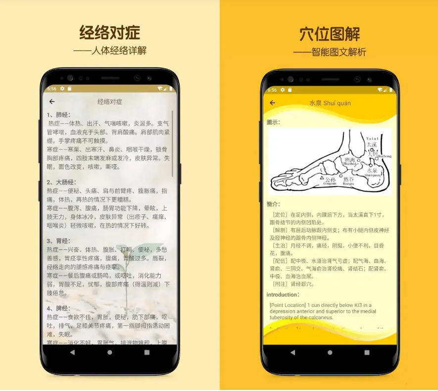 人体穴位图解 v3.1.3 人体经络去广告版