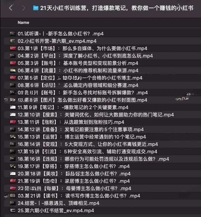 苏阿九第六期21天小红书训练营