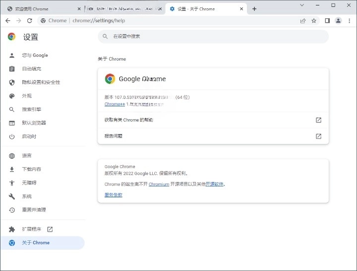 Google Chrome 谷歌浏览器 124.0.6367.156 增强版