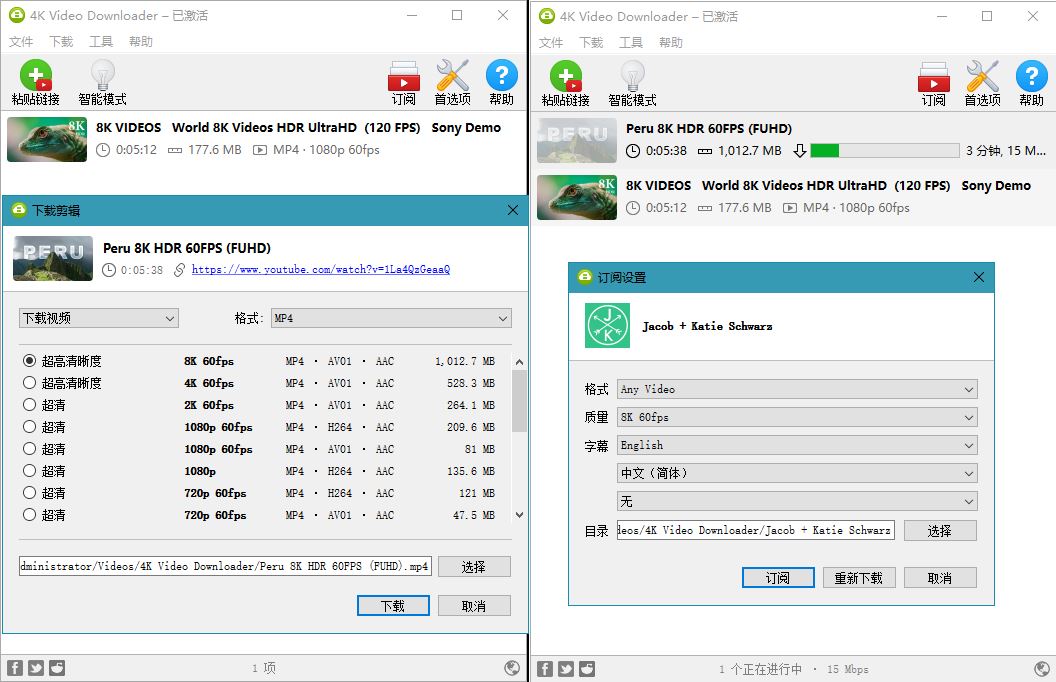 4K Video Downloader v4.31.0.0091 4K 视频下载器