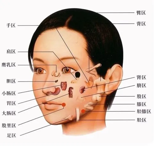 王涛面诊基础：望诊色诊眼诊望眉六经面诊自学教程