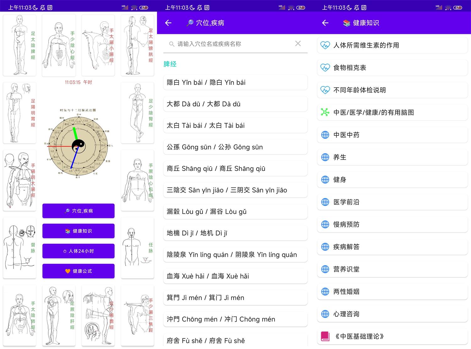 中医经络穴位流注v3.1