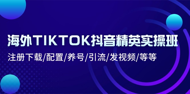 海外 TIKTOK 抖音精英实操班