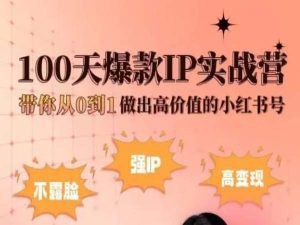 小红书100天爆款IP实战营