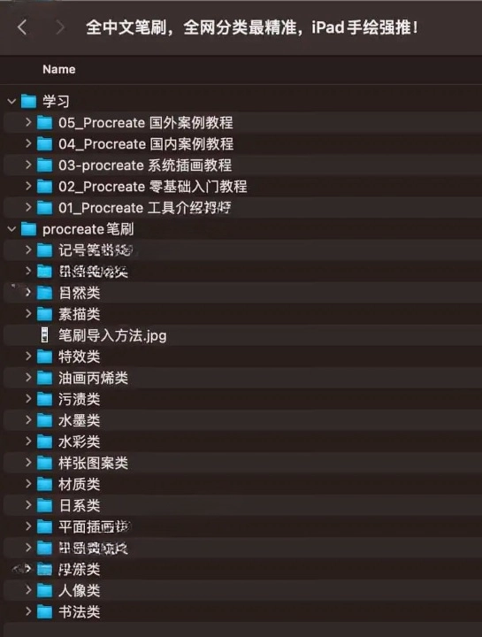 全中文笔刷 iPad 手绘 Procreate 课程