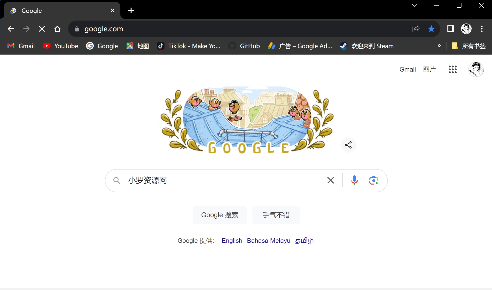 谷歌浏览器 Chrome v127.0.6533.73 增强免装版