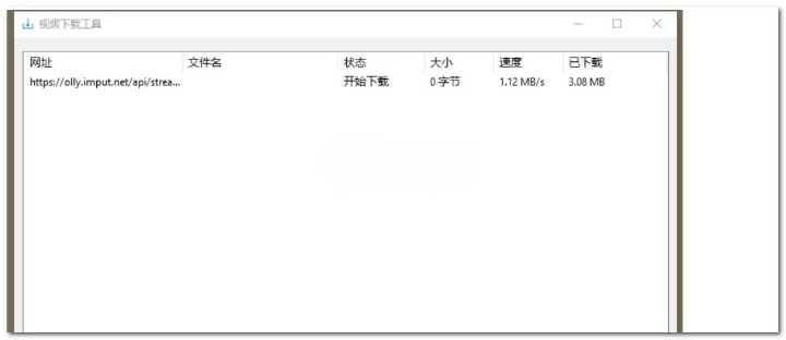 网络视频下载工具 v1.0