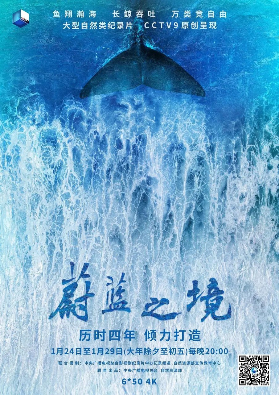 《蔚蓝之境》纪录片 (2020) 4K