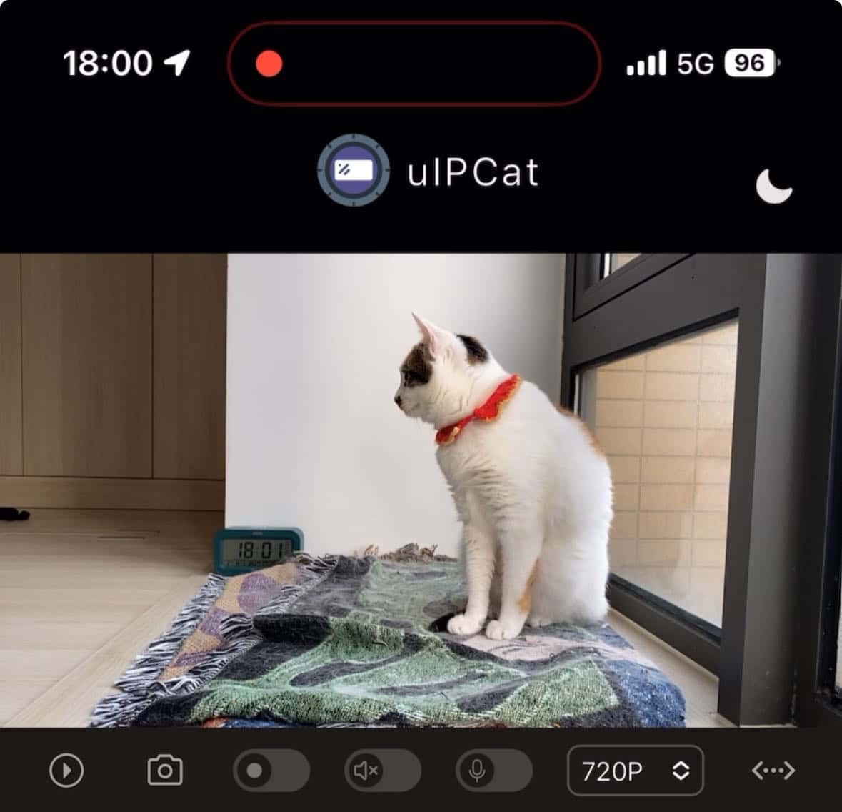 Uipcat：一个可以实时获取摄像头内容的网站