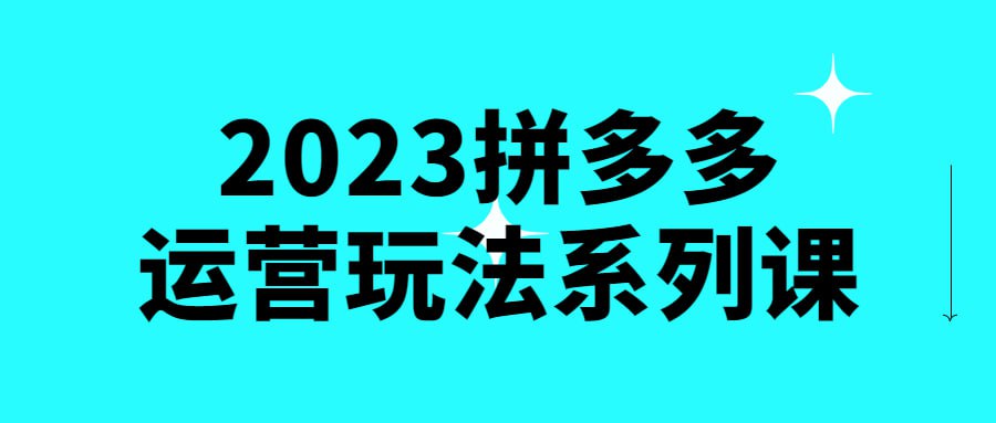 2023 拼多多运营玩法系列课