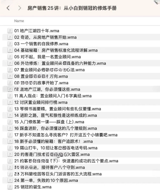 房产销售 25 讲：从小白到销冠的修炼手册