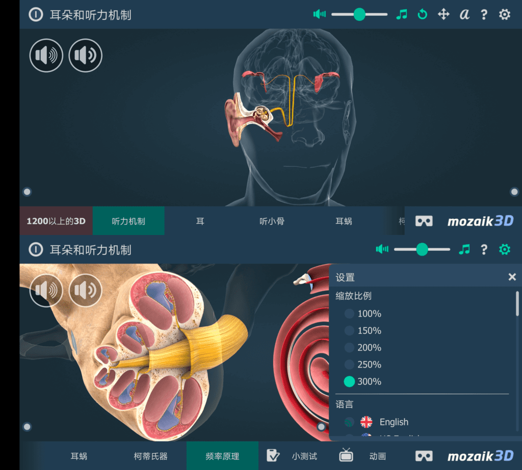 The mechanism of hearing educational VR 3D 人体耳朵 v1.27