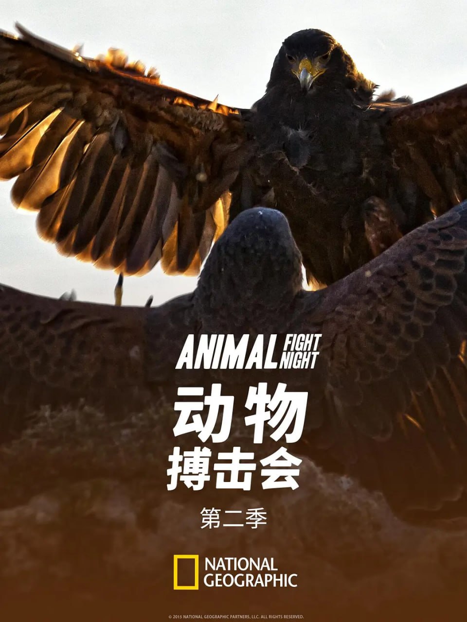 《动物搏击会》纪录片 第二季 Animal Fight Club Season 2 (2014) 1080