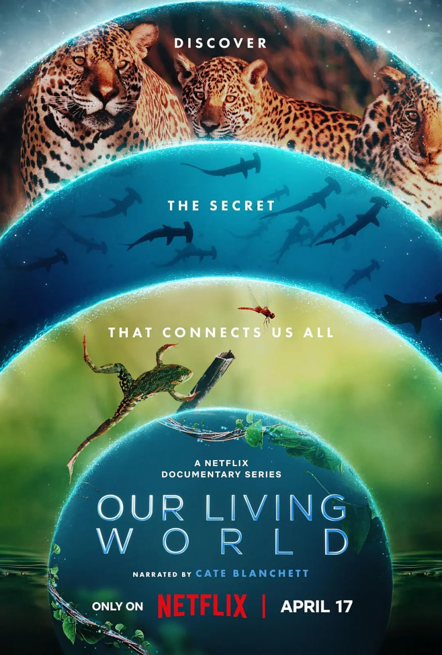 《我们的生物世界》纪录片 Our Living World (2024) 4K