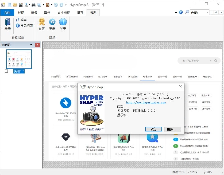 HyperSnap v9.5.2.00 便携汉化版