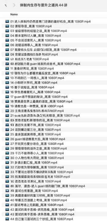 体制内生存与晋升之道共 44 讲