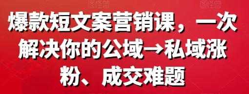 爆款短文案营销课