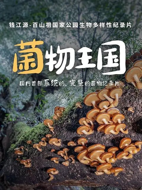 《菌物王国》纪录片 (2023)