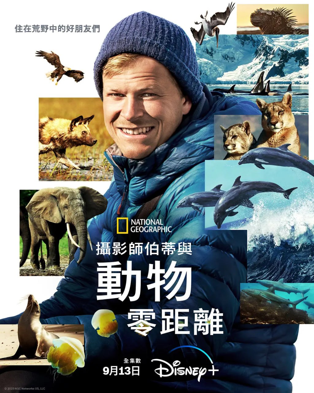 《贝尔蒂·格雷戈里：与动物零距离》纪录片 Animals Up Close with Bertie Gregory (2023)