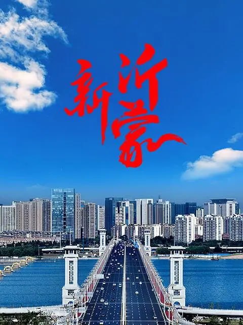 《新沂蒙》纪录片 (2024)