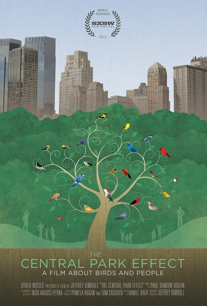 《观鸟者：中央公园效应》纪录片 Birders The Central Park Effect (2012)