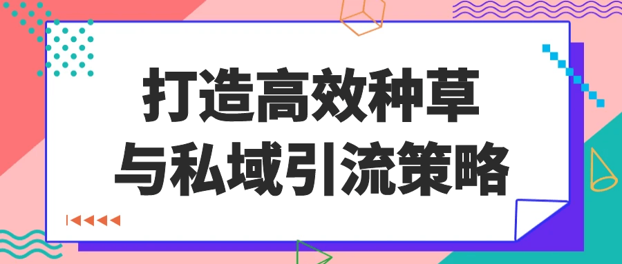 打造高效种草与私域引流策略