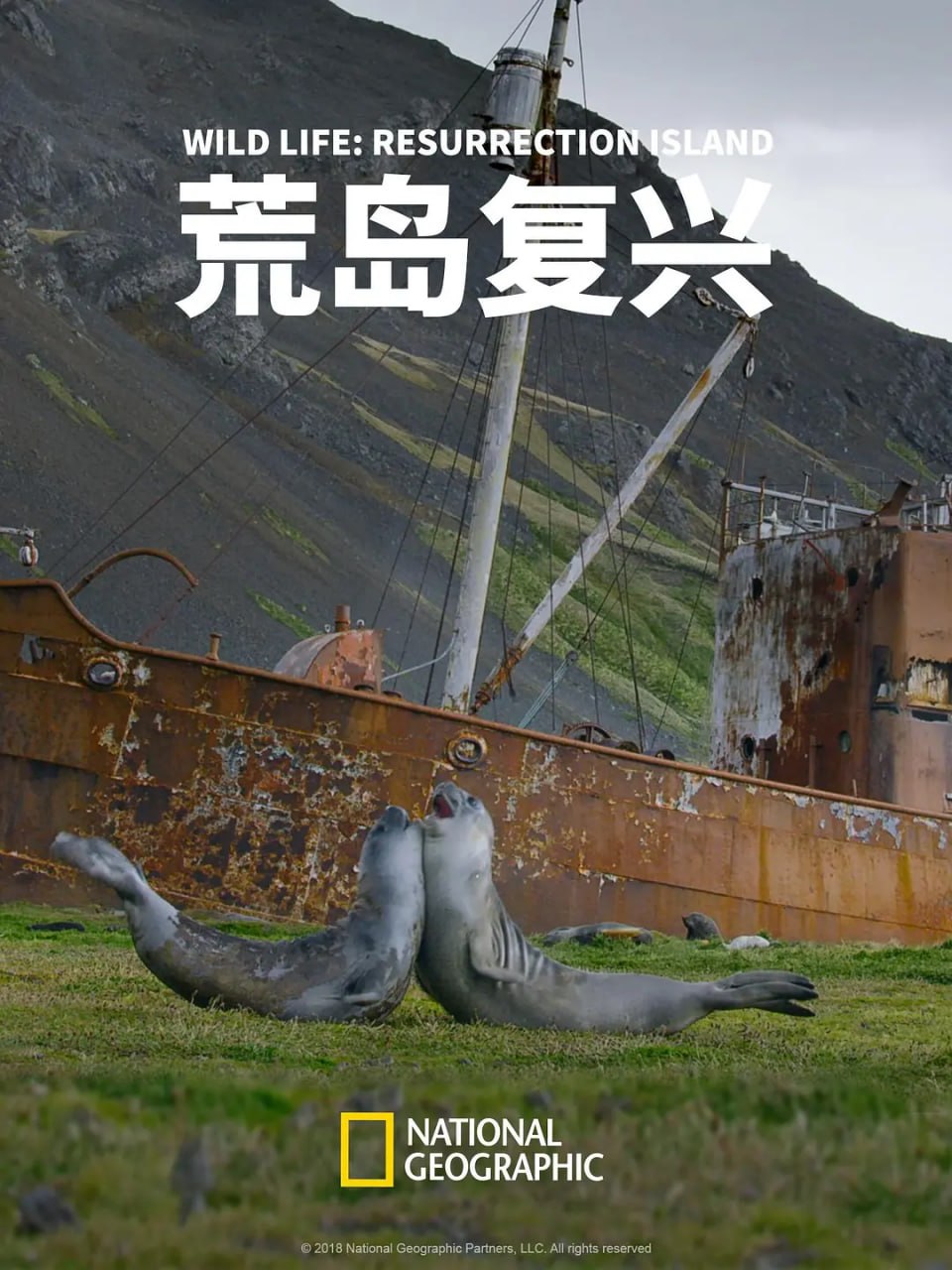 《荒岛复兴》纪录片 Wild Life Resurrection Island (2018)