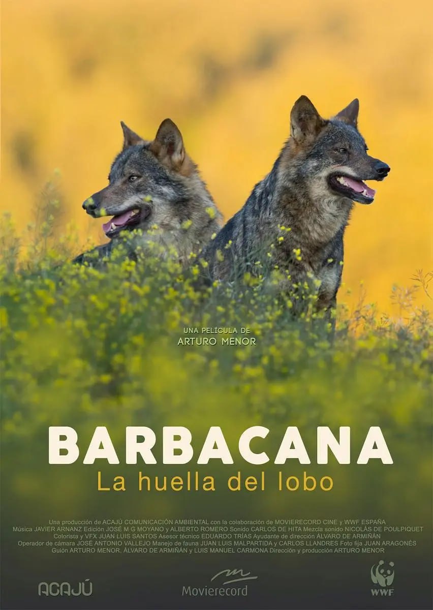 《与狼共存》纪录片 Barbacana, la huella del lobo (2018)