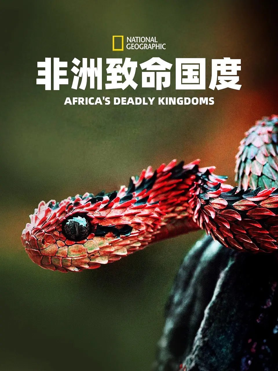 《非洲致命国度》纪录片 Africa's Deadly Kingdom (2018)