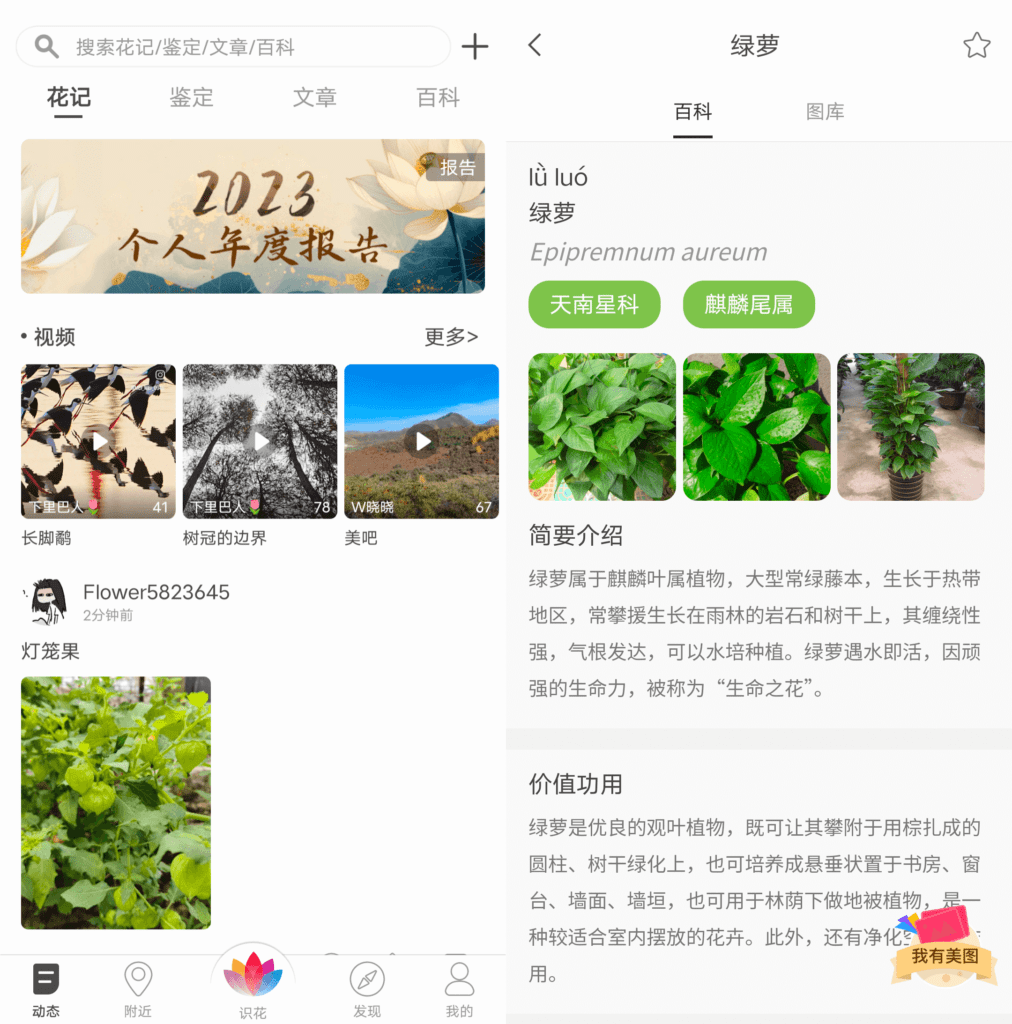 花伴侣 v3.2.16