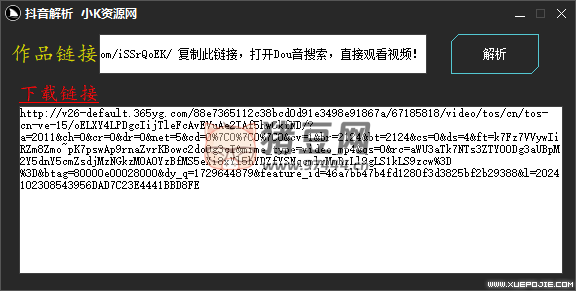 抖音解析去水印下载工具 v1.0 长期版本