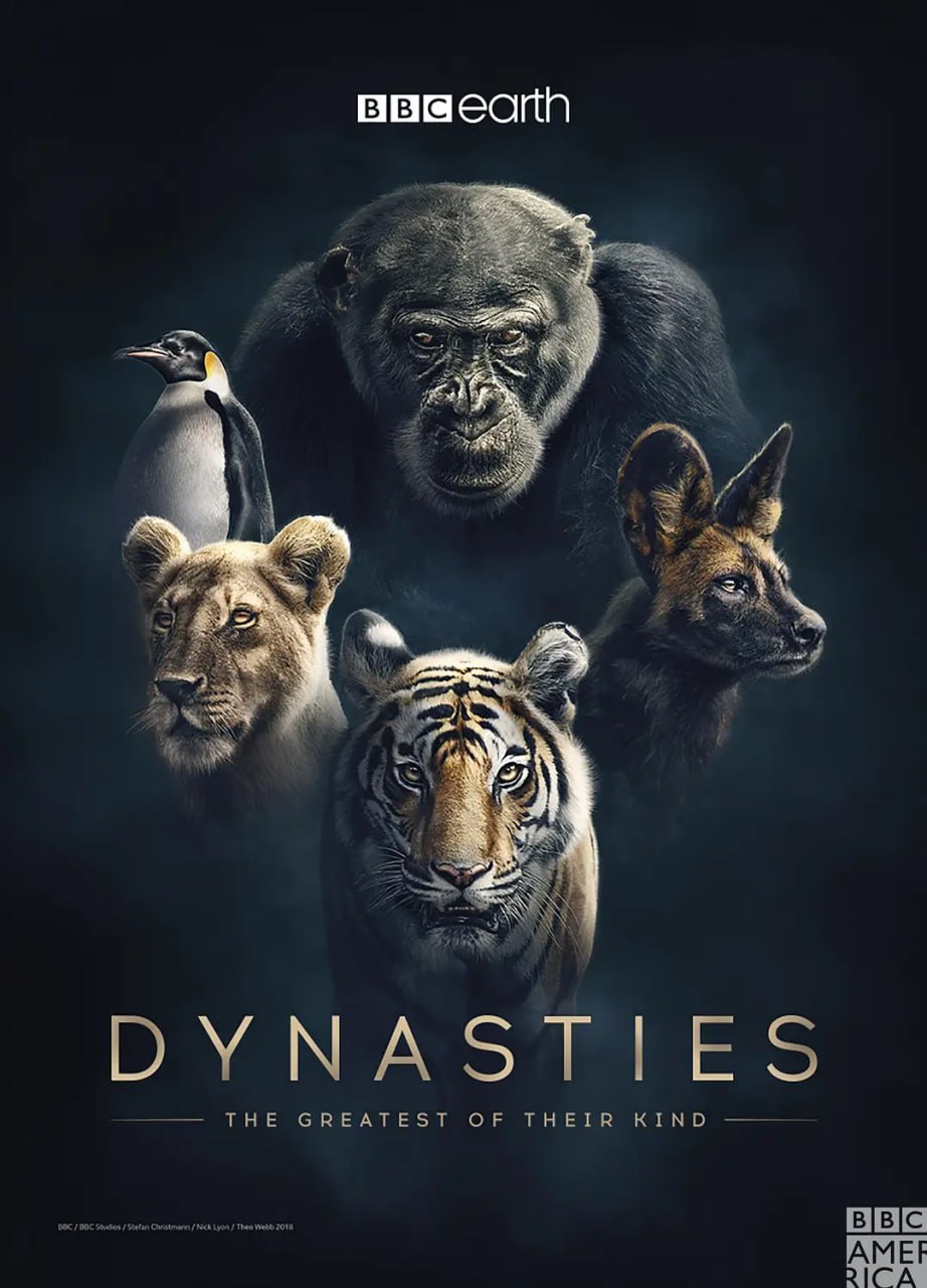 《王朝》纪录片 第一季 Dynasties Season 1 (2018)