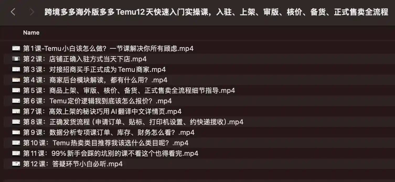 跨境多多海外版多多 Temu12 天快速入门实操课