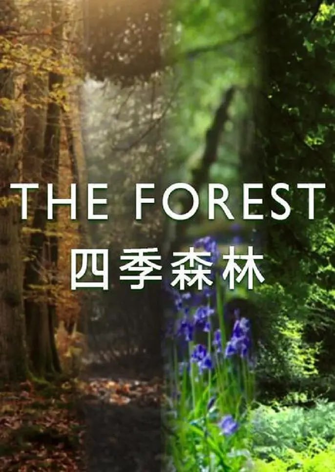 《四季森林》纪录片 第一季 The Forest Season 1 (2017)