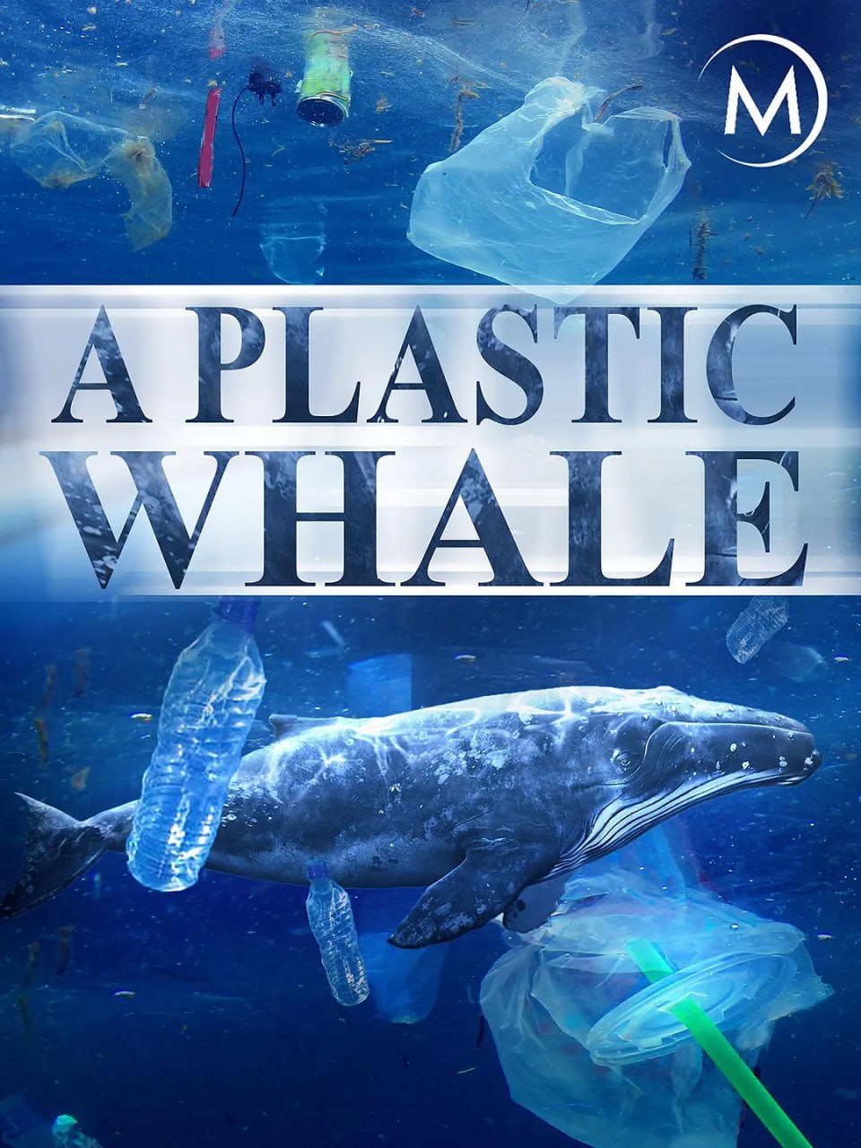 《塑料鲸鱼》纪录片 A Plastic Whale (2017)